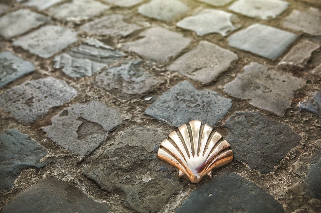 Символ паломничества – ракушка морского гребешка. Фото: Depositphotos