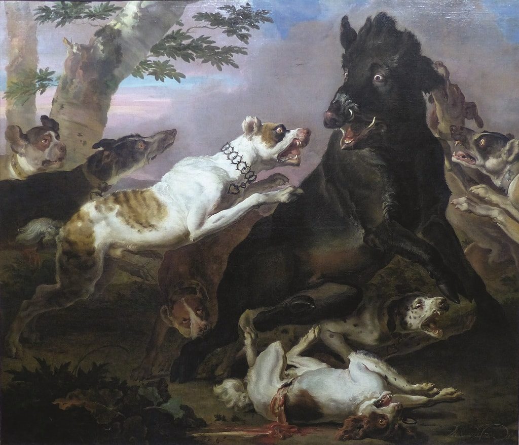 Абрахам Хондиус. «Охота на диких кабанов». 1675 г.