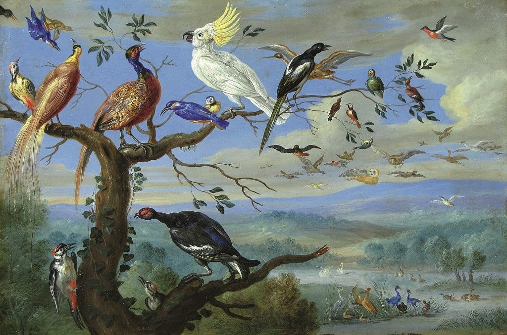 Ян ван Кессель Старший. «Экзотические птицы». Ок. 1650 г. © Costermans