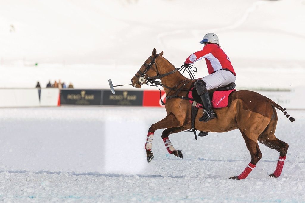 На 34-м Чемпионате мира по снежному поло. Санкт-Мориц, январь, 2018. ФОТО: SHUTTERSTOCK.COM