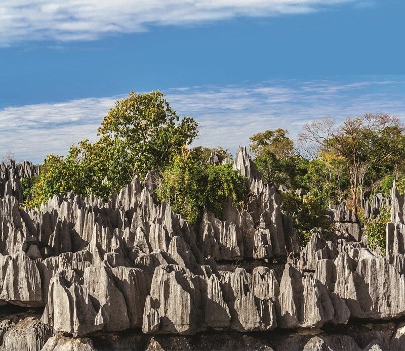 Каменный лес заповедника Цинги-де-Бемараха. ФОТО: SHUTTERSTOCK.COM