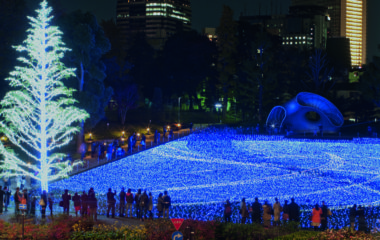 Токио зимой