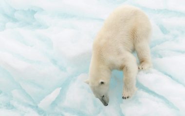 Фото: Alamy/ТАСС