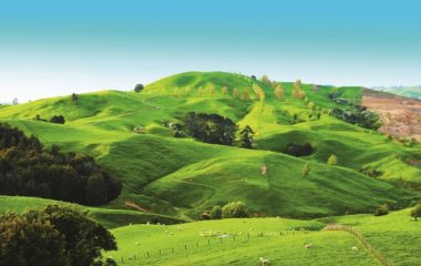 Фото: Depositphotos