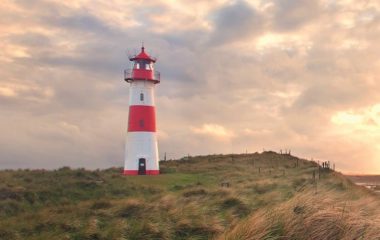 ФОТО: ADOBESTOCK.COM