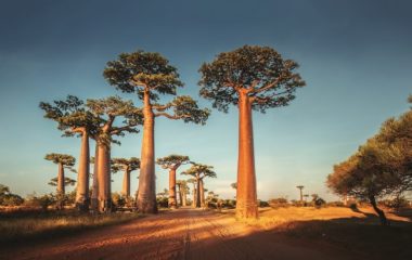 ФОТО: DEPOSITPHOTOS.COM