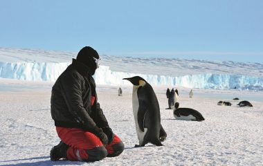 Антарктида, ФОТО: SHUTTERSTOCK.COM